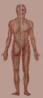 Foto einer Abbildung des menschlichen Krpers mit Akupunkturpunkten