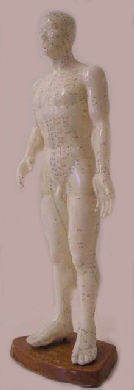 Foto einer Figur, auf der Akupunkturpunkte eingezeichnet sind