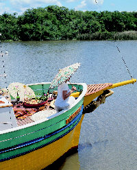 Foto eines Schiffsbuges als Versch�nerung dieser Seite 